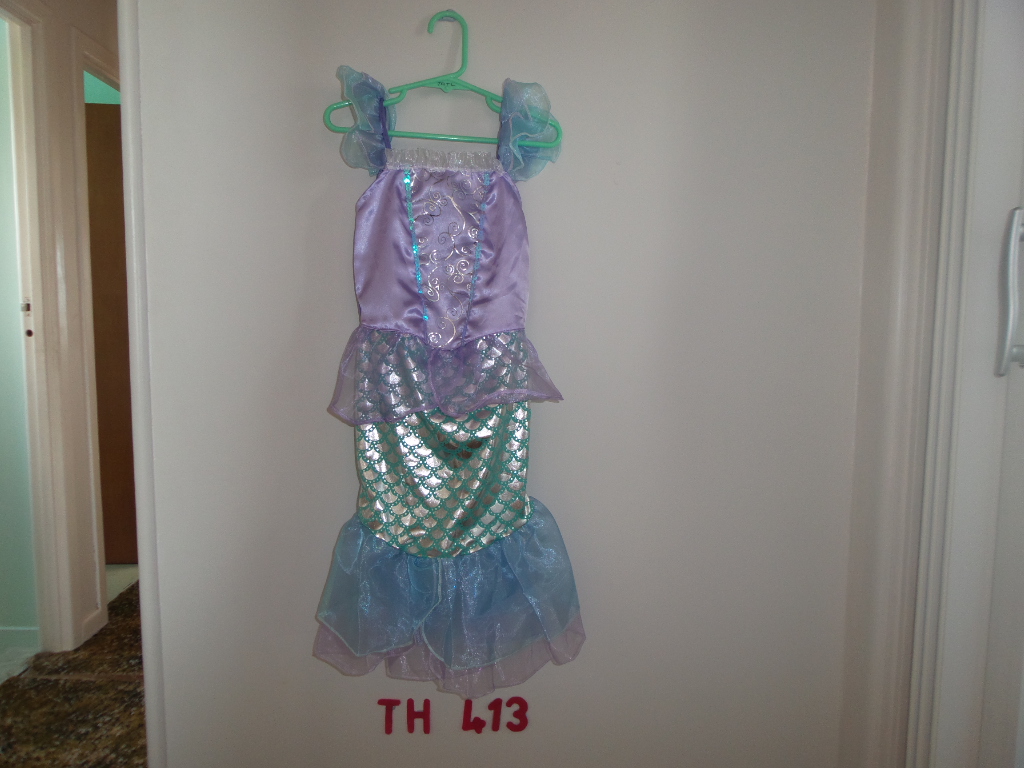 Mermaid Costume (s)